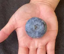 BRO绝地反击MAD，Crisp打破历史纪录