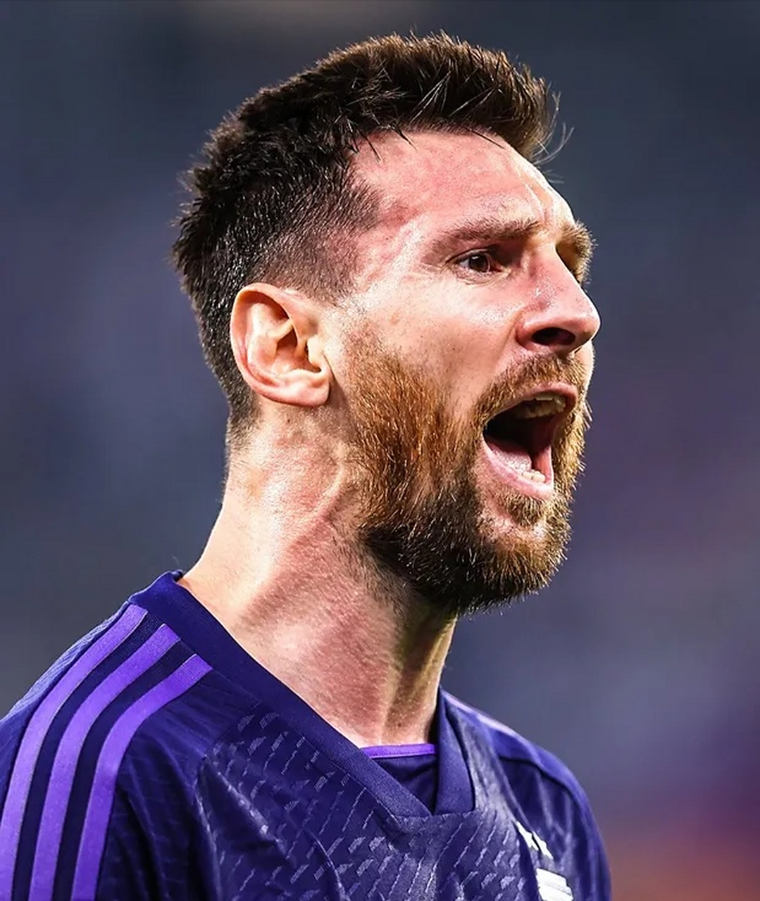 包含法国乒乓球队绝地反击波兰乒乓球队，奥恰洛夫统治全场的词条