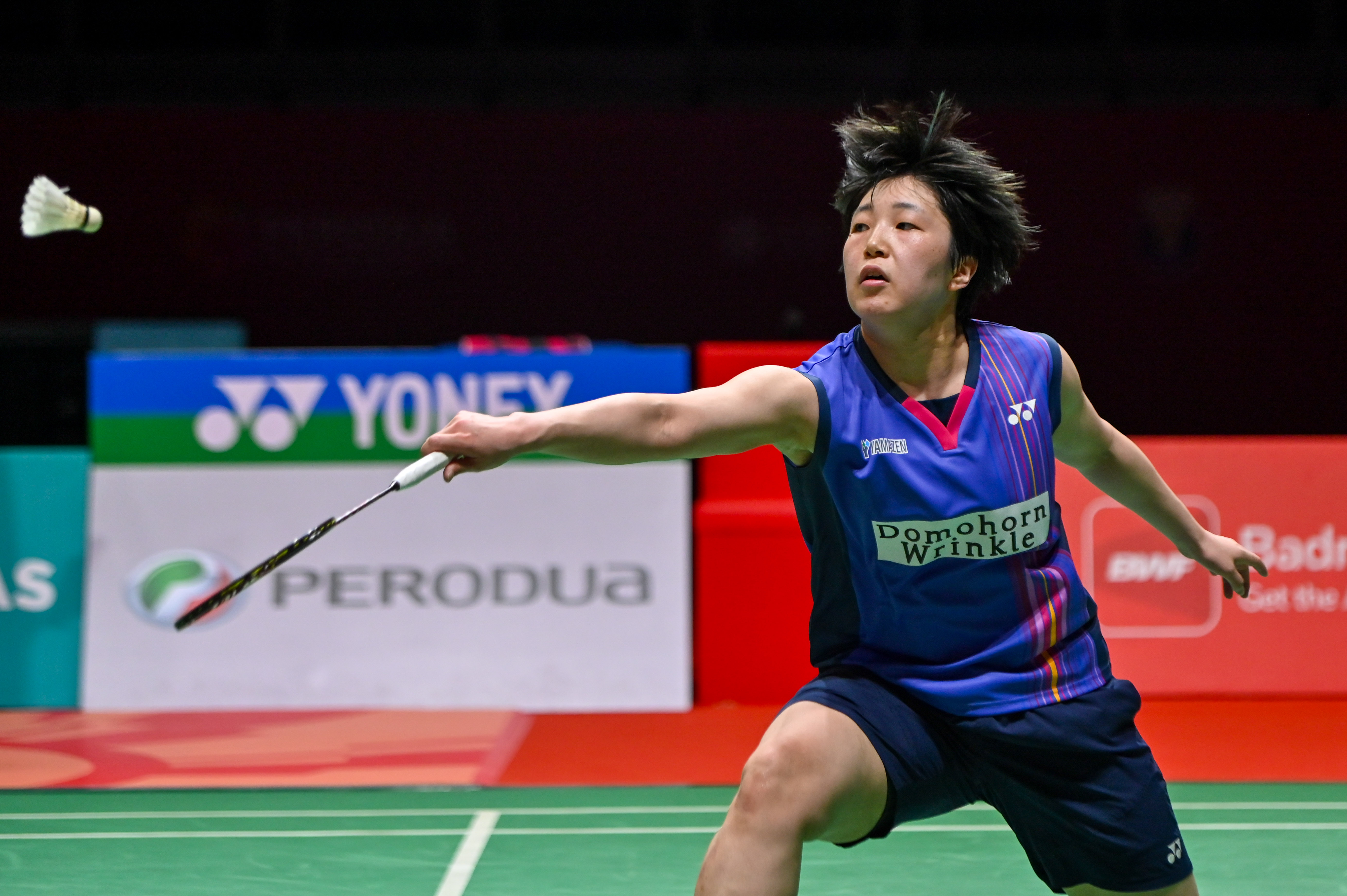 韩国羽毛球队轻取法国羽毛球队，马琳高光表现的简单介绍