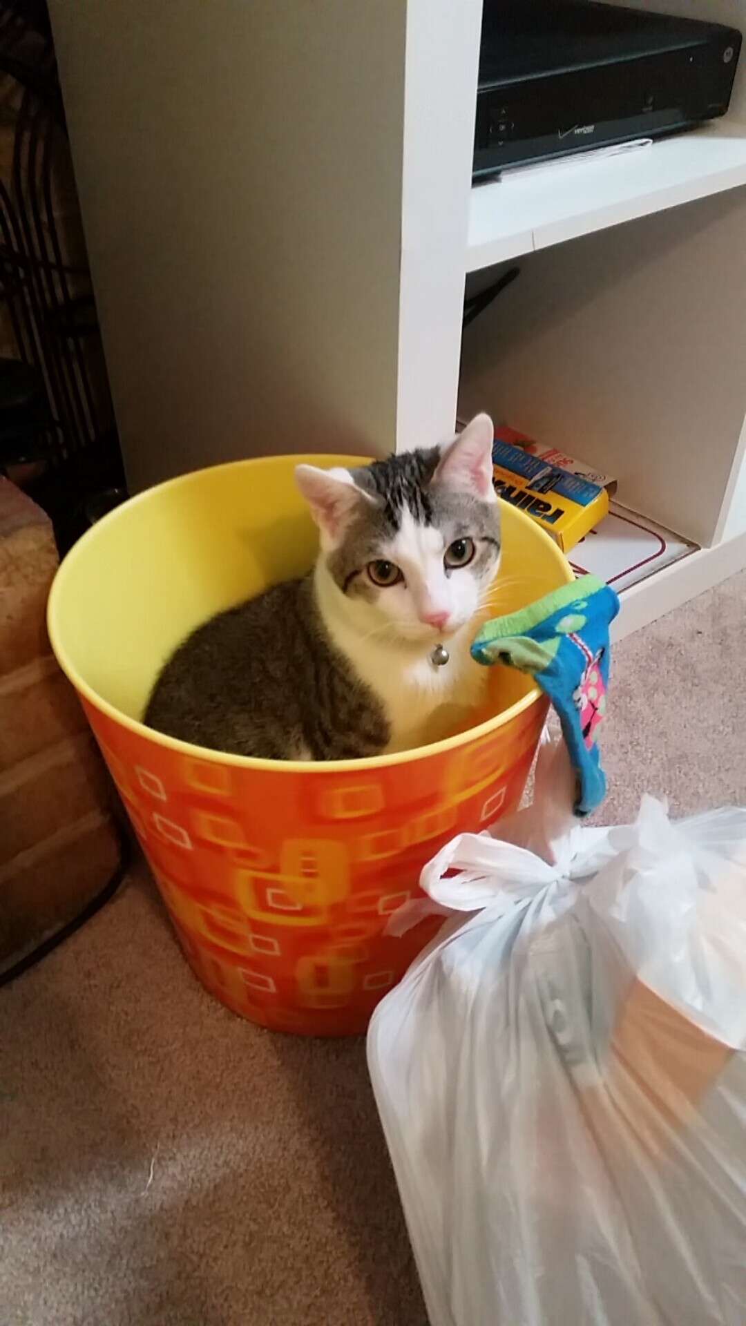 开云体育平台APP-佛罗伦萨正面击溃韩国，李刚仁关键先生闪耀友谊赛