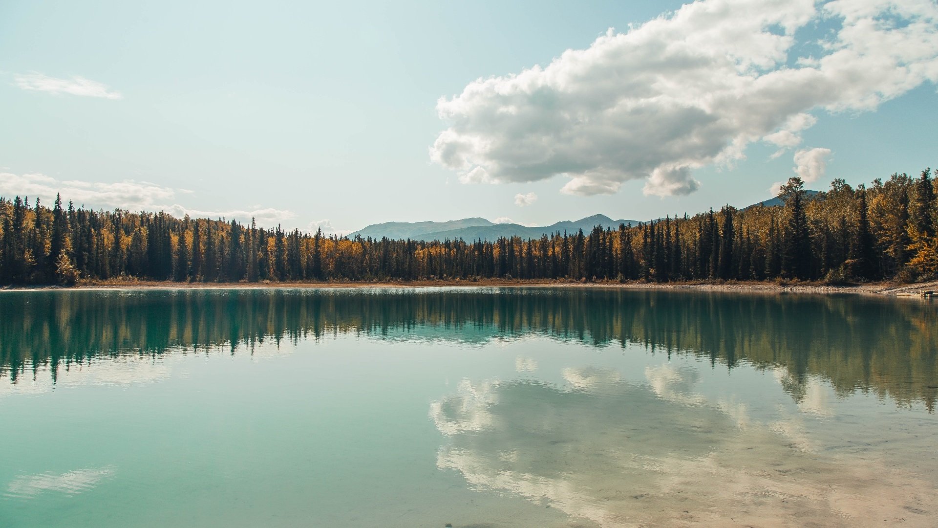 开云体育登录-城市赛道的黄蜂战机，一场篮球场上的F1式绝地反击