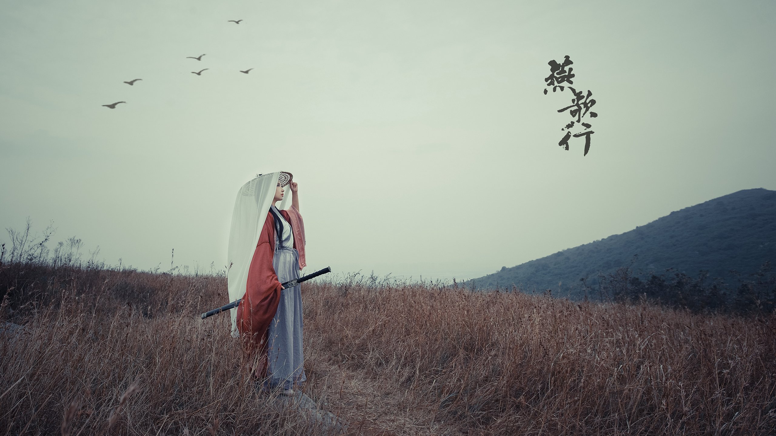 开云体育登录-跨维度的篮球对话，武切维奇爆发，广厦队强行终结快船