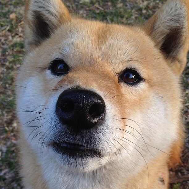 开云体育-双城记，王座与铁王座—当NBA总决赛遇上红牛压境