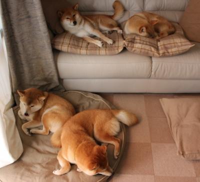 绿茵唯一性，从冻土崛起到伯纳乌称王—2024年足球的两种决定性叙事