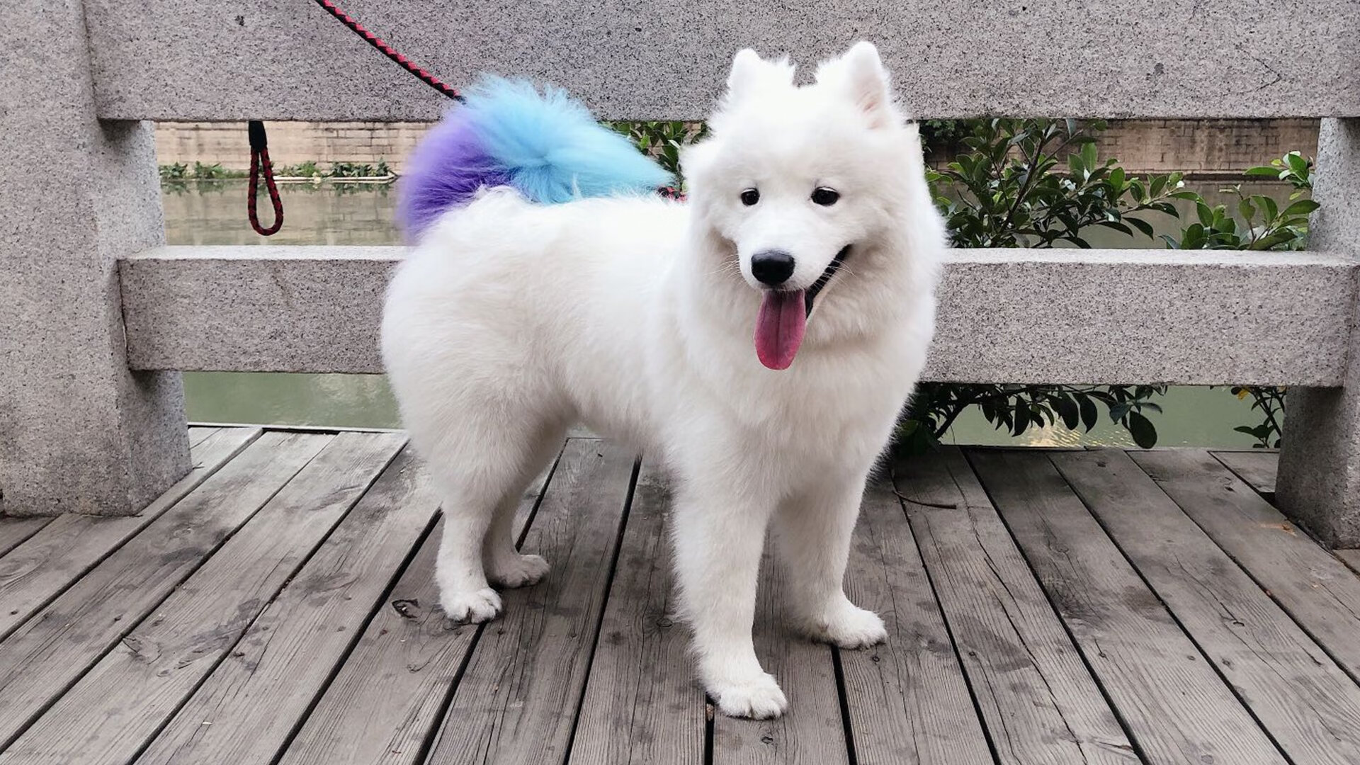 开云体育APP下载-镌刻在边境线上的绿茵诗篇，美加墨之夜与米切尔的永恒孤本