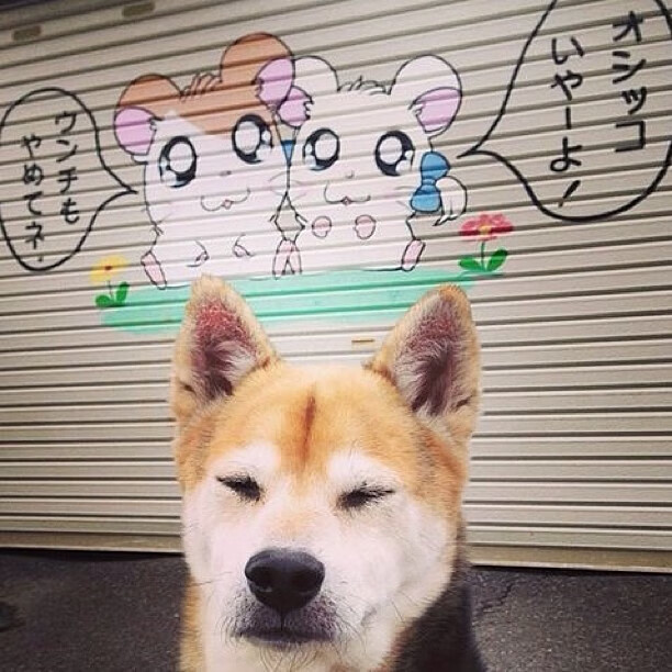 德罗赞狂暴演绎雷霆之势，提前终结吉林队悬念—一场跨联赛的篮球盛宴