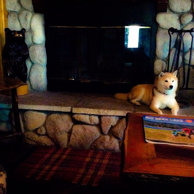 开云体育app-玻利维亚火力压制南非，却为格列兹曼做了嫁衣，一位关键先生的完美战术诠释