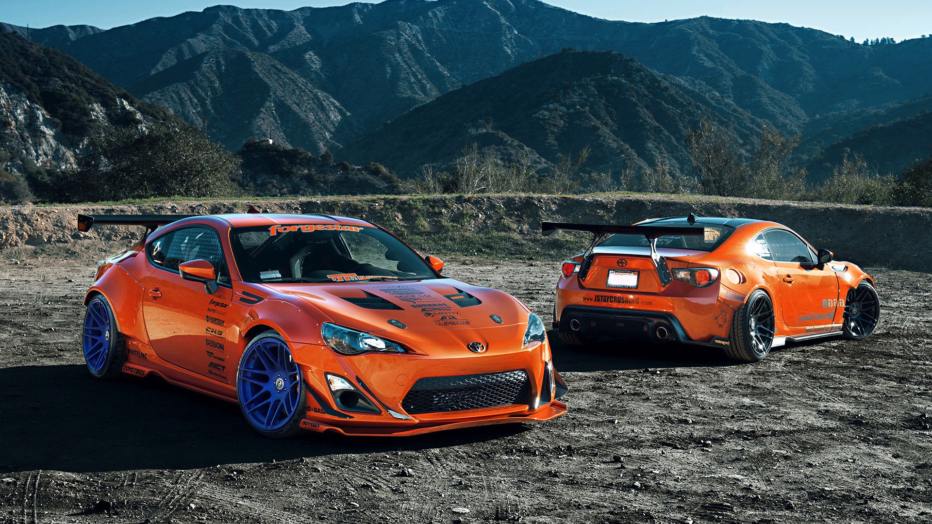 开云体育官网-孤独的狂欢