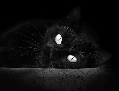 开云体育中国-唯一对决，保罗末节封神！老鹰险胜上海锁定传奇