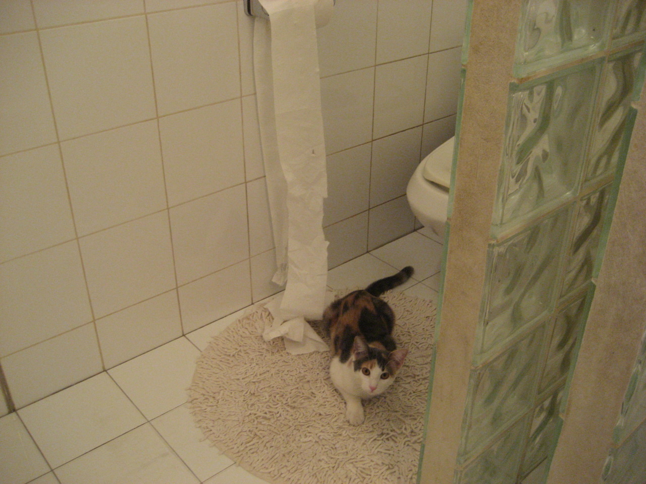 开云体育入口-钢铁与蓝调的交响，当骑士的铁壁遇上爵士的韵律，莫兰特于无声处听惊雷