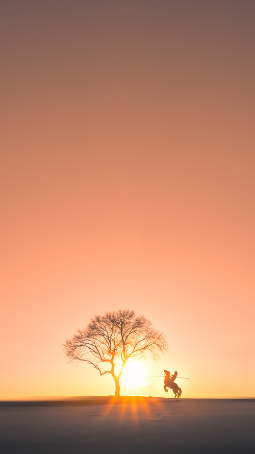 开云体育app-绿茵与硬木间的唯一主宰，那个欧冠夜晚的跨界统治