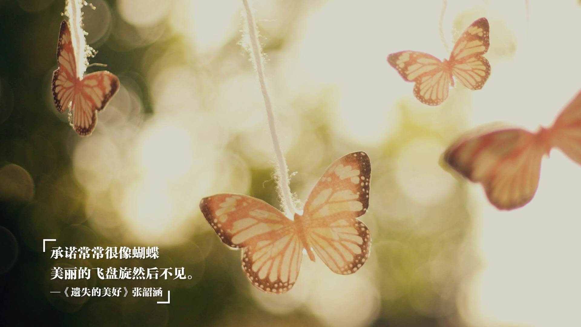 意甲焦点战中的南美风暴，智利式进攻如何压制塞内加尔防线