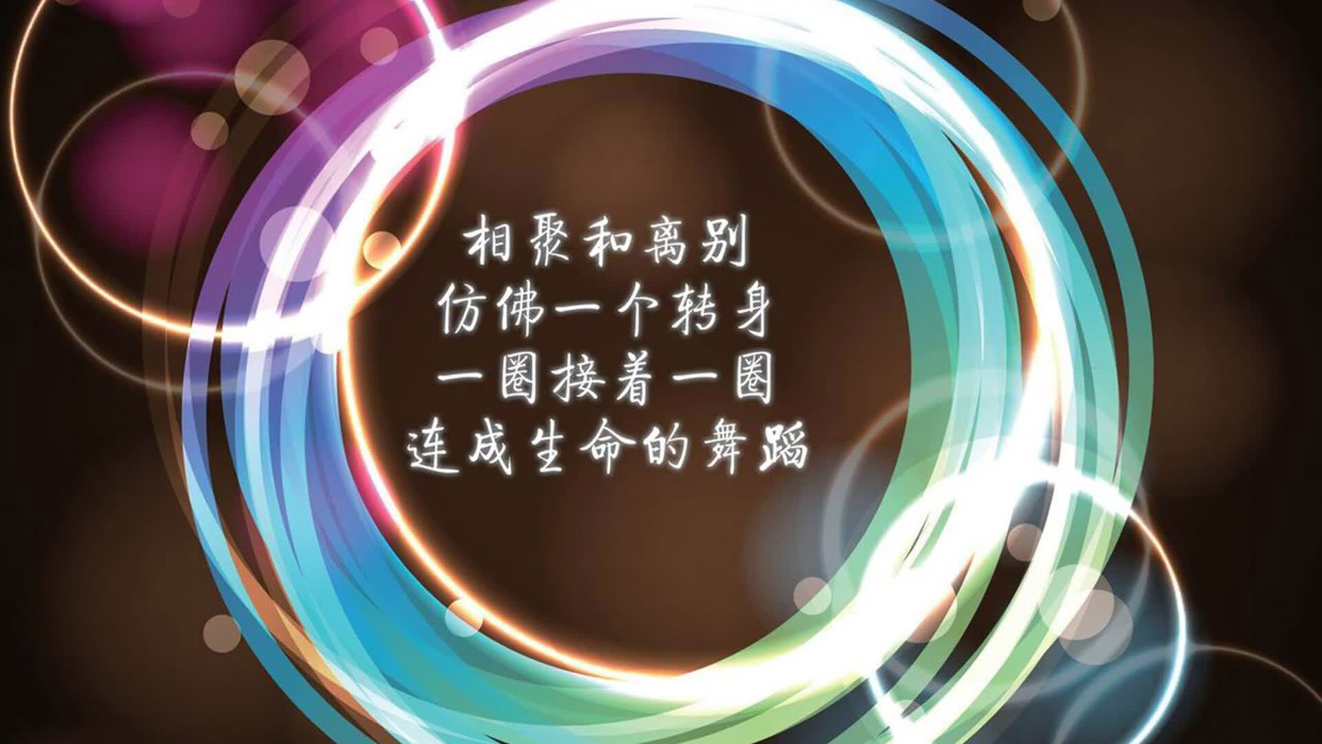 开云体育登录-橙衣铁壁，范戴克在2026世界杯B组生死战中铸就的唯一传奇