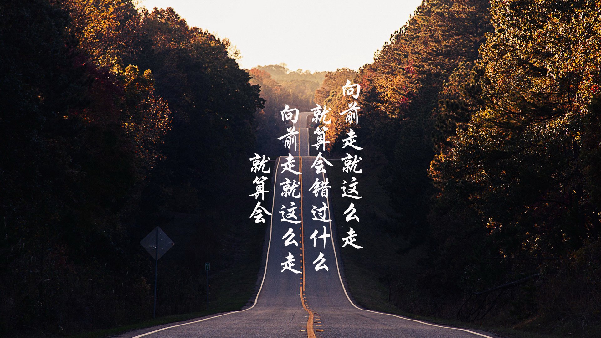 开云体育入口-2026世界杯D组生死战，葡萄牙绝境突围，萨卡独舞闪耀，厄瓜多尔虽败犹荣