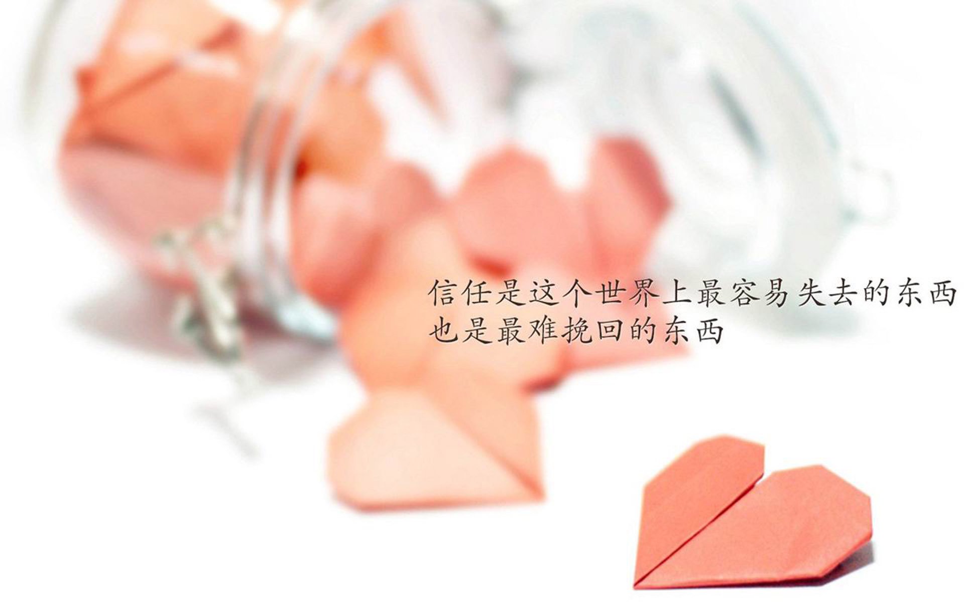 一瞬定乾坤,2026世界杯D组,荷兰犀利反击送走葡萄牙,卢卡库的致命一击改写命运